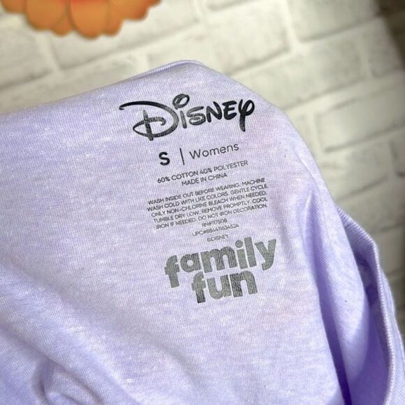 NWT Disney’s Family Fun Periwinkle Tshirt Shirt Mickey Minnie Goofy Donald Small - Picture 6 of 6